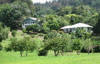 Pacific Naturopathic Retreat Center